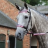 Weatherbeeta Reflective Bridle Kit (4 Piece) Normally £19.99